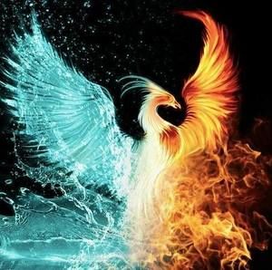 Meet your Posher, Zachery